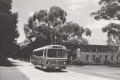Bus-154