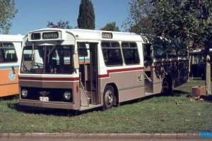 BUS 156-1