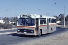Bus157-1
