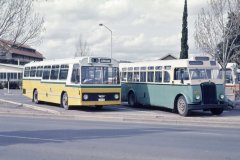 Bus157-Ainslie-1