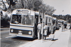 Bus-157-Northbourne-Avenue