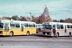 Bus157-Kingston-2
