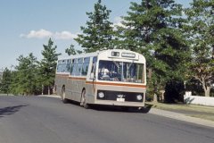 Bus158-1
