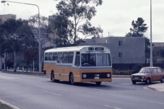Bus-161-NorthbourneAv-1