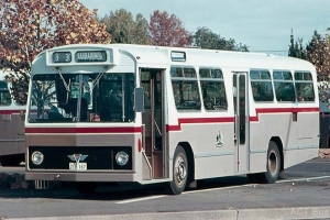 BUS 167