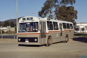 BUS 175-1