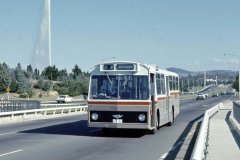 Bus182-CommonwealthAv-1