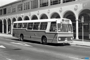 BUS 184-1