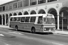 Bus184-NorthbourneAv-1