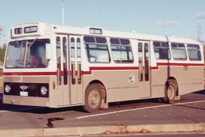 BUS 186-1