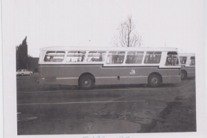 BUS 187-1