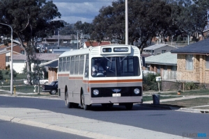 BUS 190-1