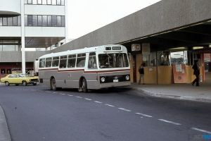 BUS 194-1