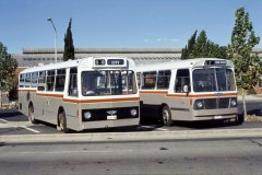 Bus145-194-Kingston-1