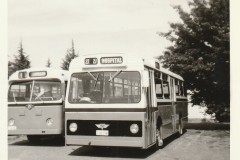 ZIB-194-18-11-72-Kingston