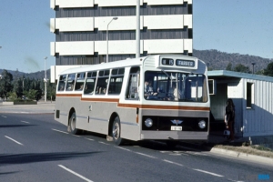 BUS 196-1