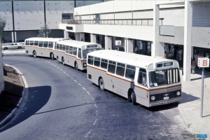 BUS 197-1