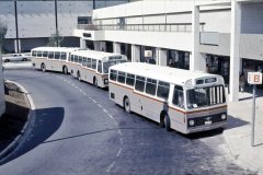 Bus197-WodenInter-1