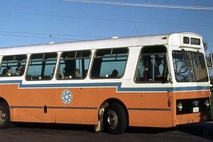 BUS 203-1