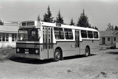 Bus203-Jolimont-1