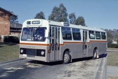 Bus207-Hackett-1