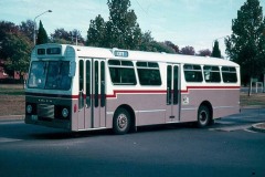 Bus-207-Wentworth-Avenue
