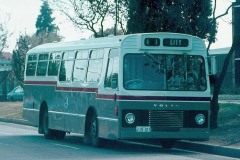 Bus-207-Wentworth-Avenue