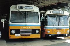 Bus207-450-BDepot-1