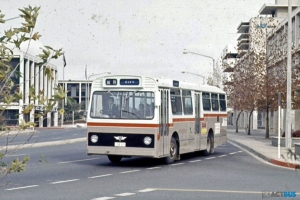 BUS 223-1