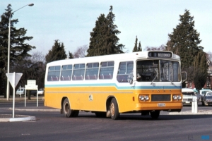BUS 226-1