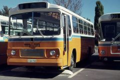 Bus228-WentworthAv-1
