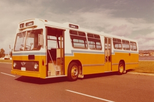 BUS 229-1