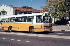 Bus229-AlingaSt-1