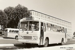 Bus-230-Russell-Drive