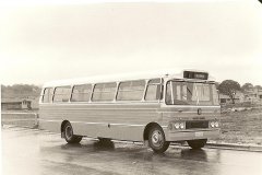 Bus-231