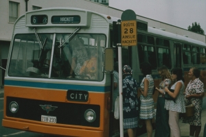 BUS 233-1
