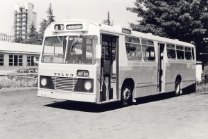 BUS 236-1