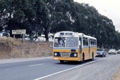 Bus236-FederalHwy-1