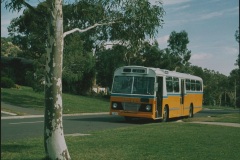 Bus-237