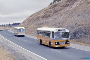BUS 238-1