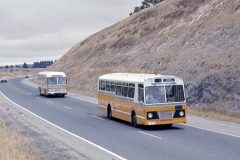 Bus238-FederalHwy-1
