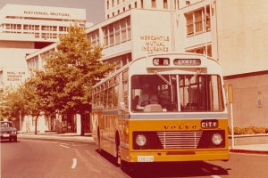 BUS 239-1
