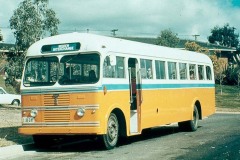 Bus-240-Torrens-1