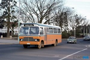 BUS 242-1