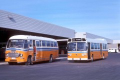 Bus-248-Woden-Depot