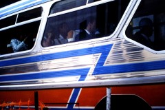 Bus 251 - Royal Visit