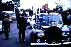 Bus 251 - Royal Visit