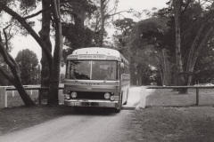 Bus-251-4