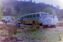Bus-251-8