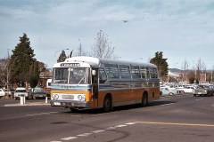 Bus251-WentworthAv-1